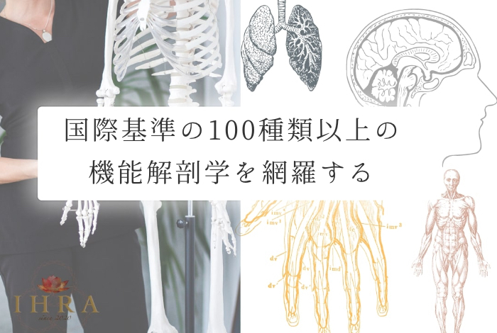 国際基準の100種類以上の機能解剖学を網羅する